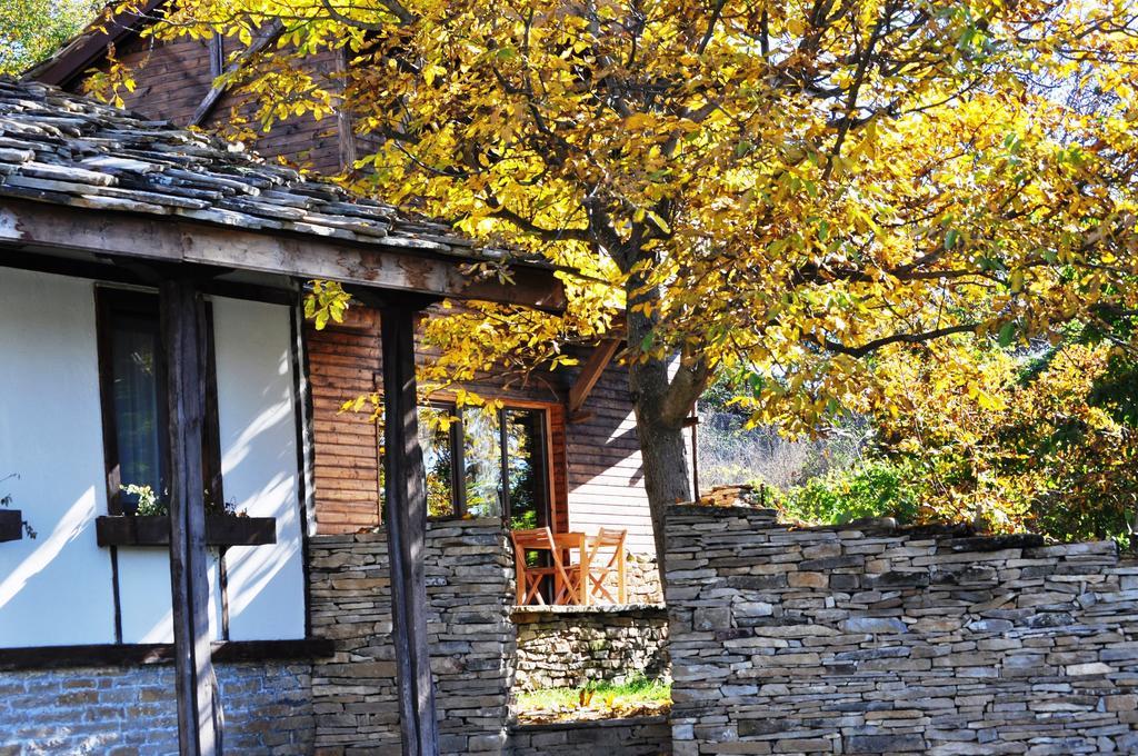 The Four Houses Kostenkovtsi Quarto foto